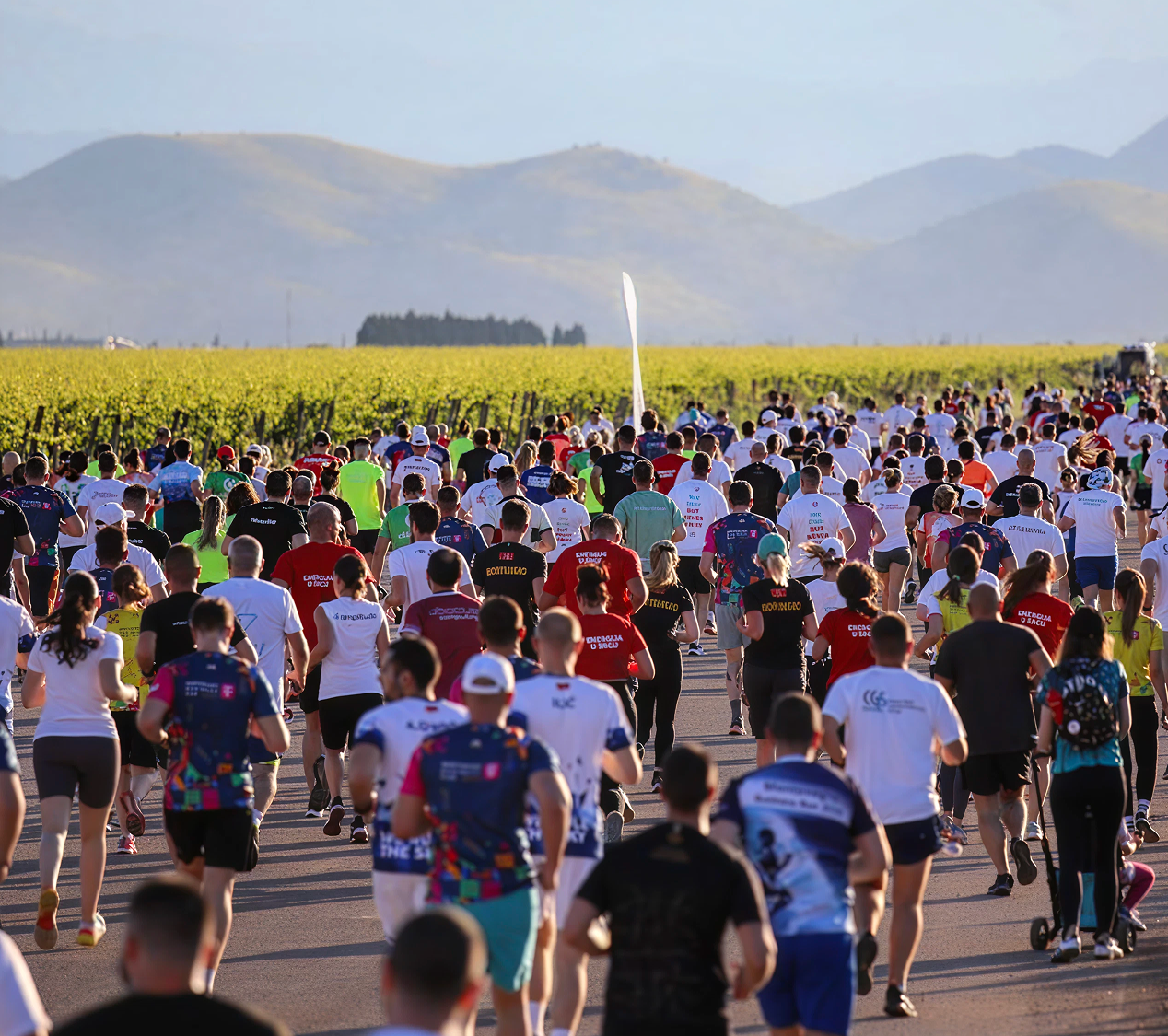 global.front.alt.icon_decoration