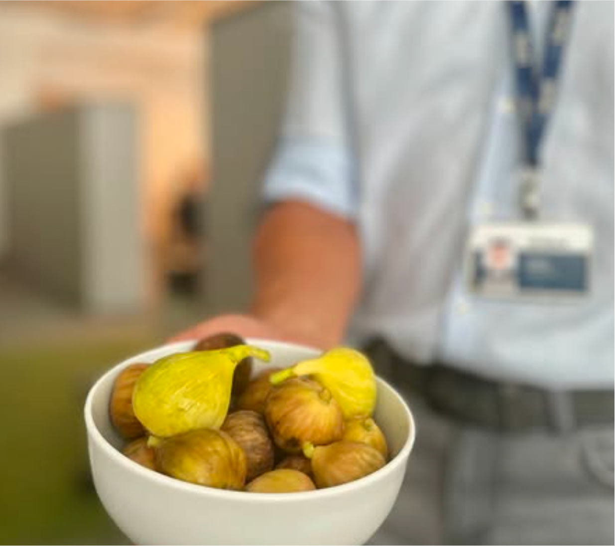 global.front.alt.icon_decoration