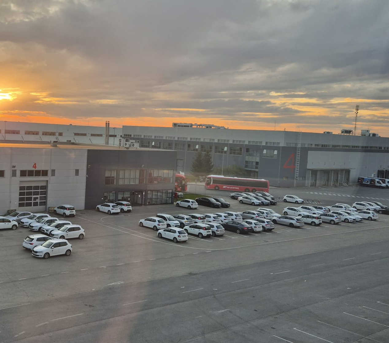 global.front.alt.icon_decoration